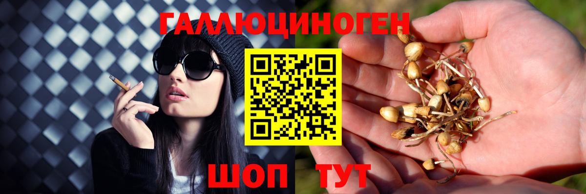 дарнет шоп  Псилоцибиновые грибы мухоморы  Вход с VPN  Галлюциногенные грибы MAGIC MUSHROOMS  Советск 